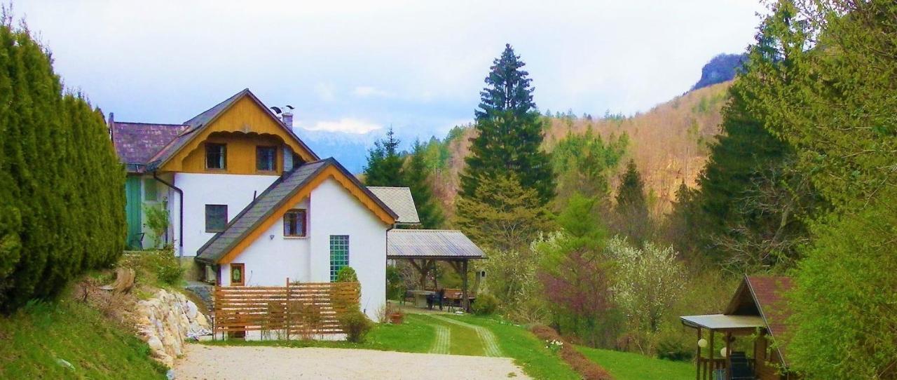 Ingreen House Бохиньска-Бела Экстерьер фото