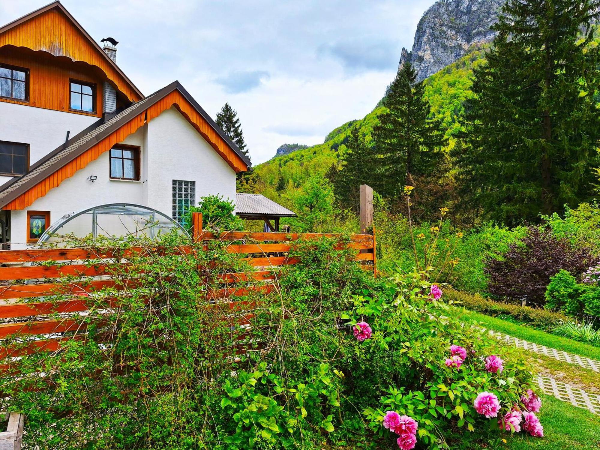 Ingreen House Бохиньска-Бела Экстерьер фото